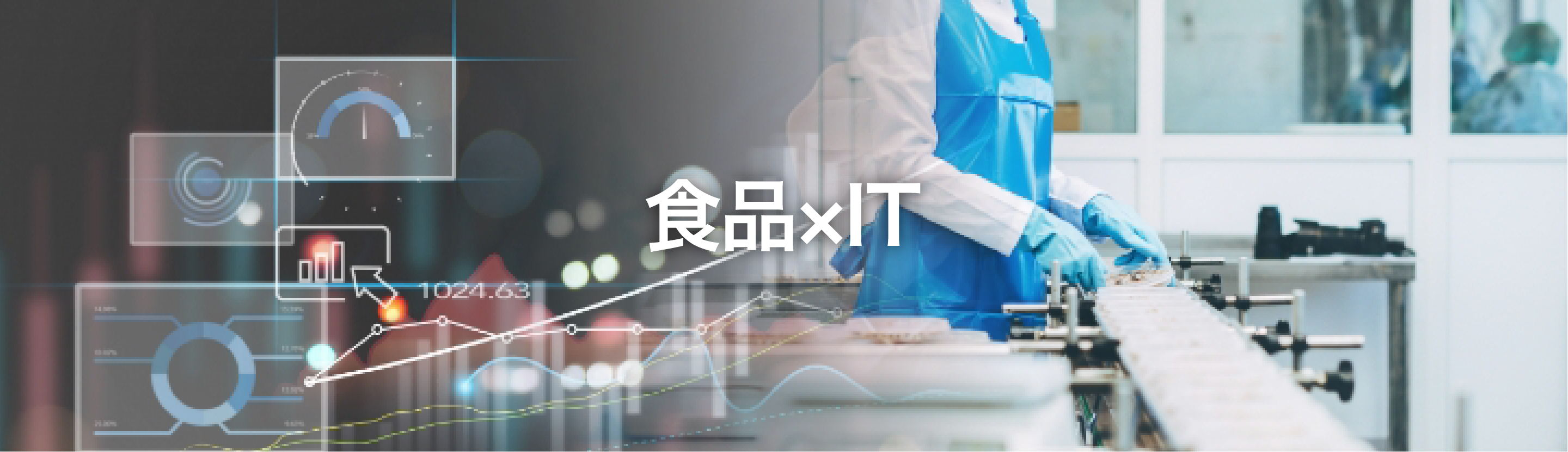 IT�E�~�E�H�E�i